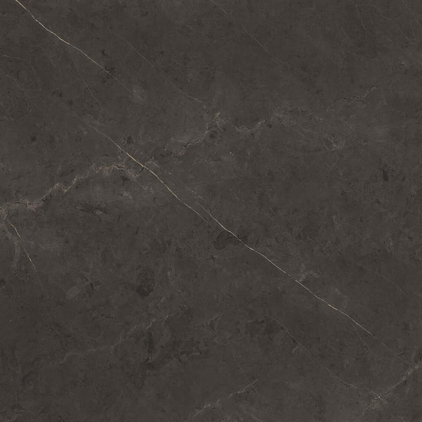 Porcelanosa Karachi Grey 100309223 square
