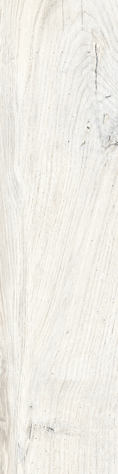 Rondine Daring Ivory