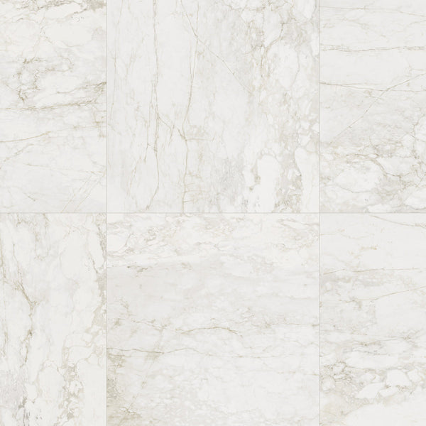Century Medley Prince Molata – immagine quadrata