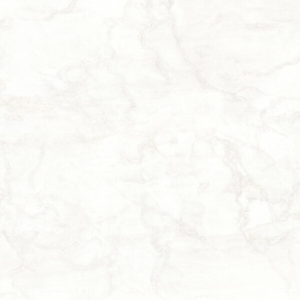 Tagina Mystery White official
