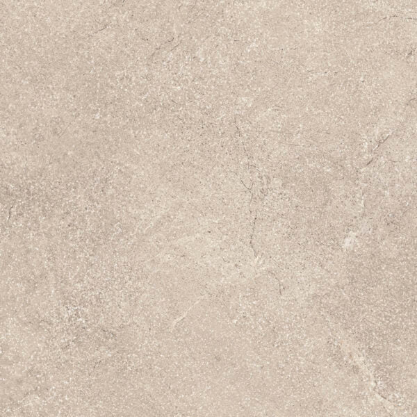 Tagina Pierre D Avignon Gris official