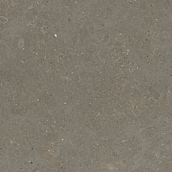 Graniti Fiandre Solida Grey Flamed