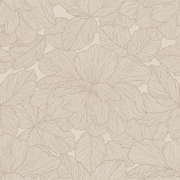 Caesar Deco Solutions Peonia
