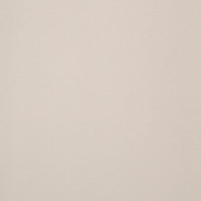 Casalgrande Padana Architecture Dark Ivory Antibacterial, texture tinta unita