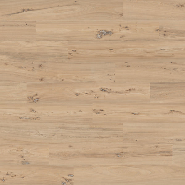 Emilceramica millelegni remake olmo dorato texture