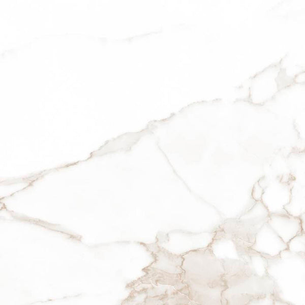 FAP Ceramiche Roma Calacatta matt texture