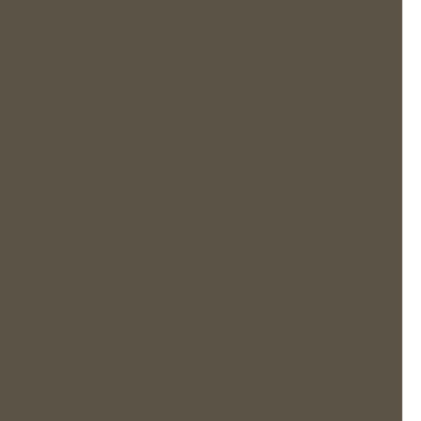 Florim Crayons of Cerim Hazelnut — texture ufficiale 1920×1920, superficie Matte R9