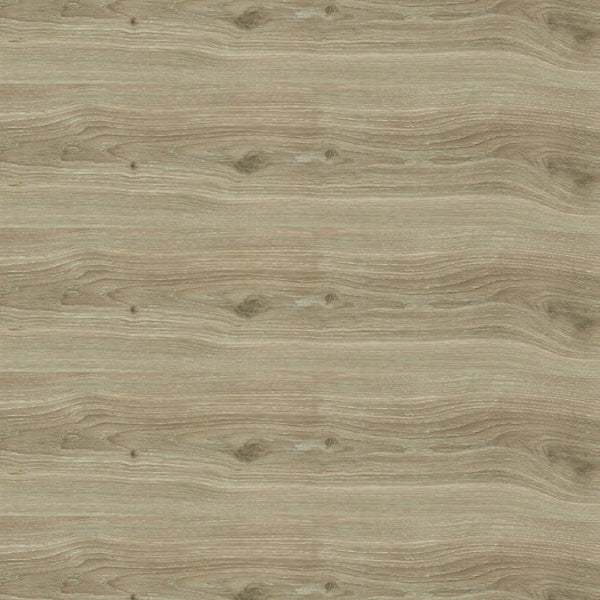 Geotiles Borneo Haya