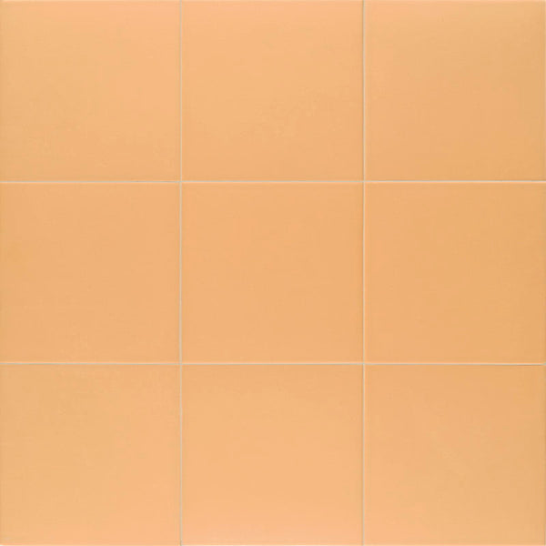 Mainzu Technical Tangerine