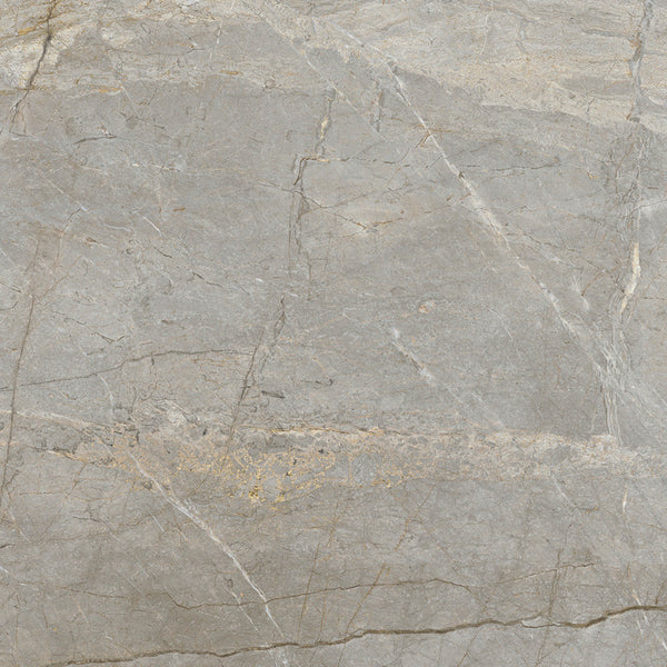 Graniti Fiandre Marmi Maximum Silver Root