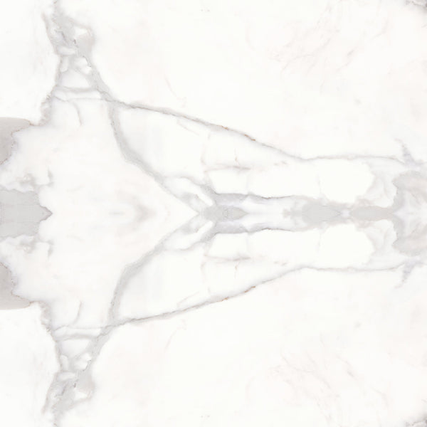 Provenza Unique Marble Calacatta Regale