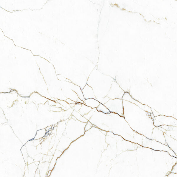 Tagina Segesta Caramel official