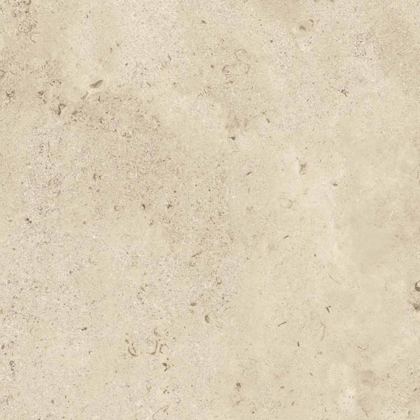 Gardenia Ariana La Geoteca Bourgogne beige