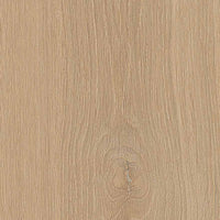 Gardenia Ariana Tabulae Refined Miele