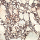 Versace Harmony Calacatta Viola Antique 3D