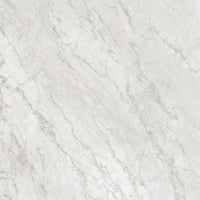 Gardenia Ariana Bon Ton Carrara