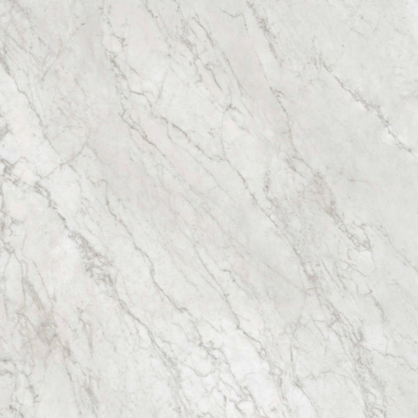 Gardenia Ariana Bon Ton Carrara