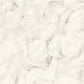 41zero42 Dandy White