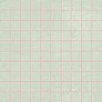 41zero42 Futura Grid Rose
