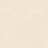 41zero42 Nok Ivory