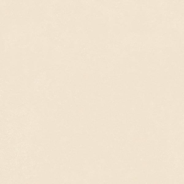 41zero42 Nok Ivory