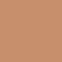 41zero42 Pixel41 12 Terra