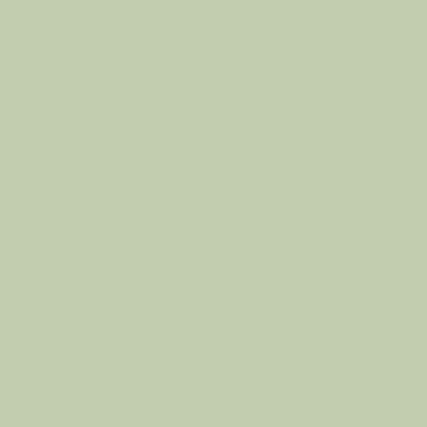 41zero42 Pixel41 36 Salvia