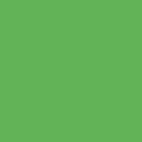 41zero42 Pixel41 38 Frog