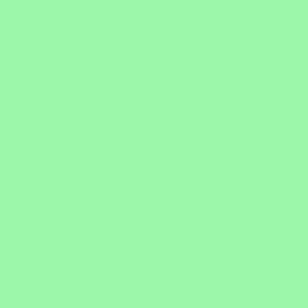 41zero42 Pixel41 41 Mint