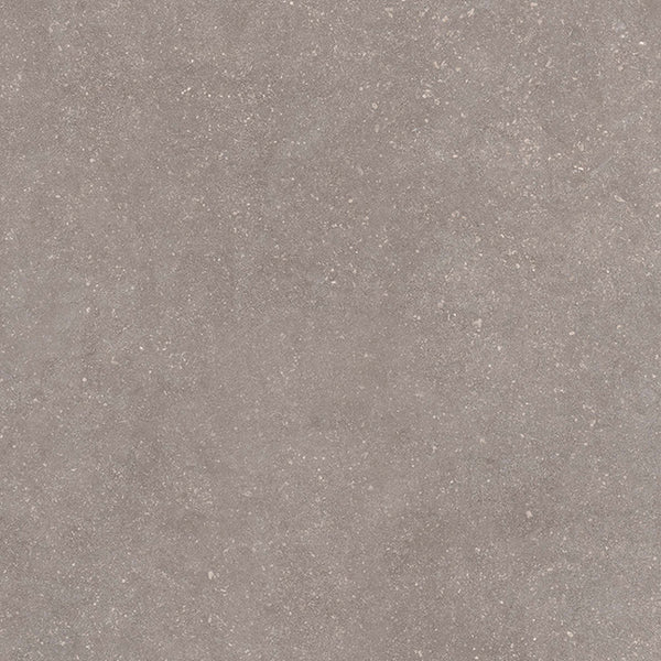 Casalgrande Padana Stile French Grey Antibacterial, texture effetto pietra