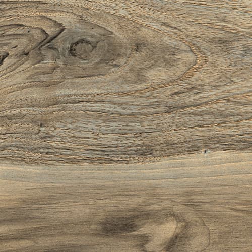 La Fabbrica Ava Kauri Fiordland