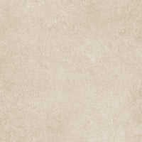 Panaria Ceramica Iqoniqa Skin Naturale 60x60