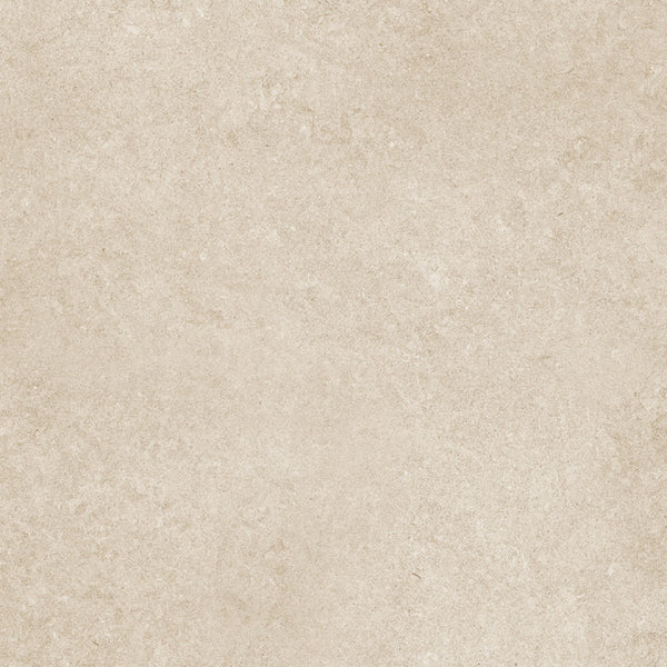 Panaria Ceramica Iqoniqa Skin Naturale 60x60