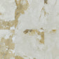 Century Medley Ambience Molata