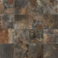 Century Geology Fossil