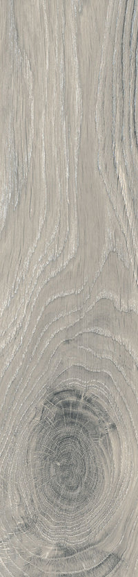 Rondine Timeless Ivory