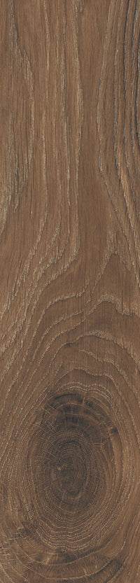 Rondine Timeless Nut