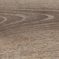 Tagina Evoque Bahia