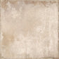 Tagina Ilcottotagina Clear