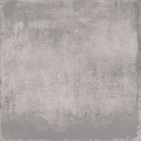 Tagina Ilcottotagina Grey official