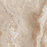 Tagina Onyx Diamond Champagne official