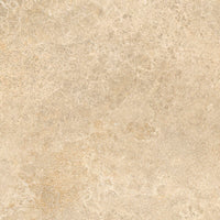 Tagina Pierre D Avignon Beige official
