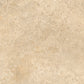 Tagina Pierre D Avignon Beige