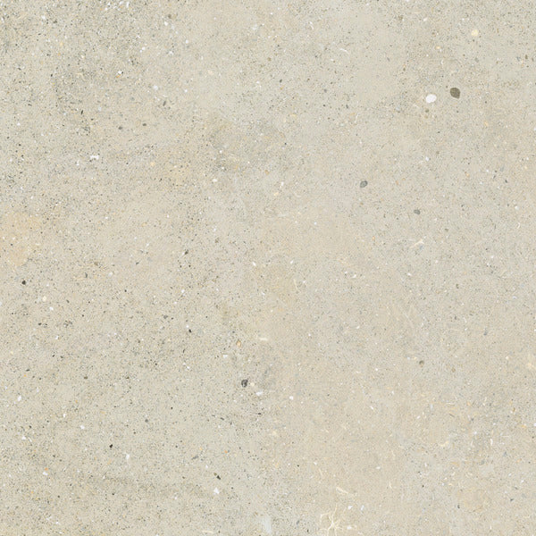Graniti Fiandre Solida White Flamed