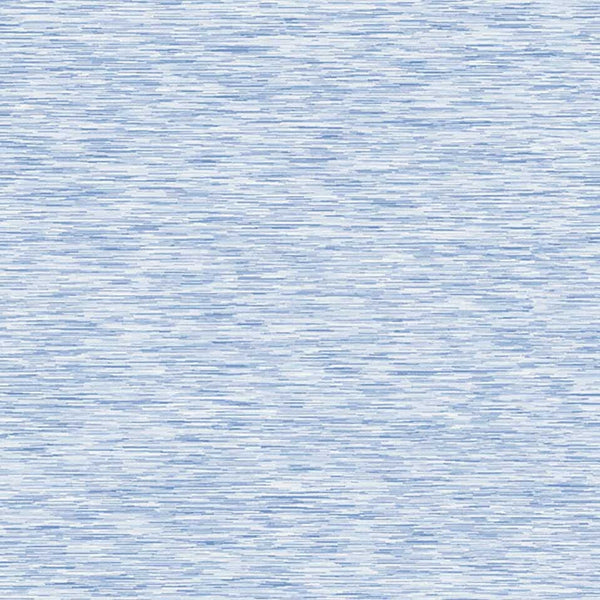 Apavisa Filo Blue Natural texture