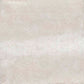 Apavisa Focus White Nonslip