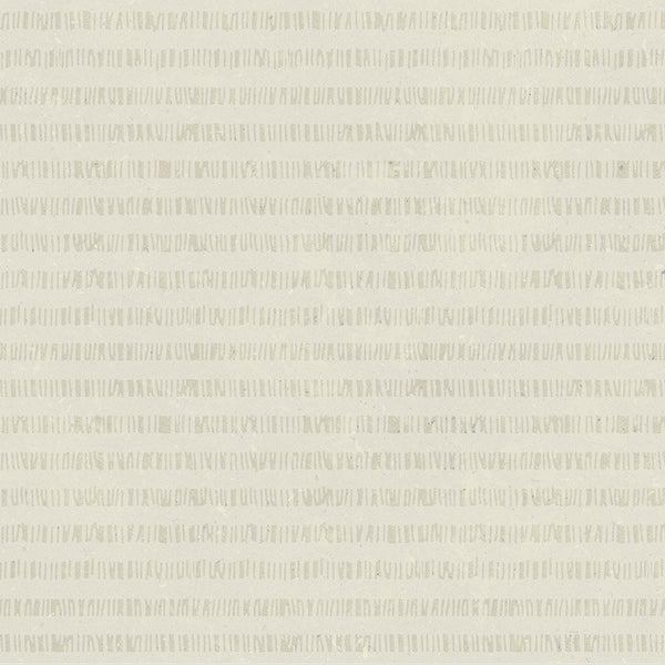 Apavisa Metodo Ivory Cune