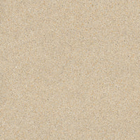 Graniti Fiandre Il Veneziano Seminato Beige