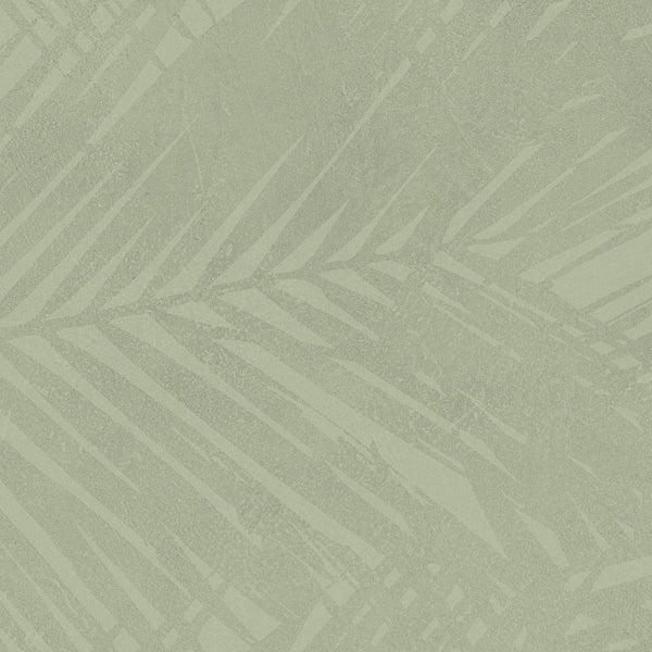 Atlas Concorde Boost Expression Life Olive Matte 50x120
