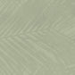 Atlas Concorde Boost Expression Life Olive